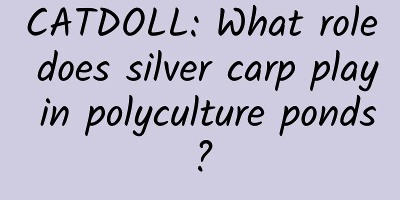 CATDOLL: What role does silver carp play in polyculture ponds?