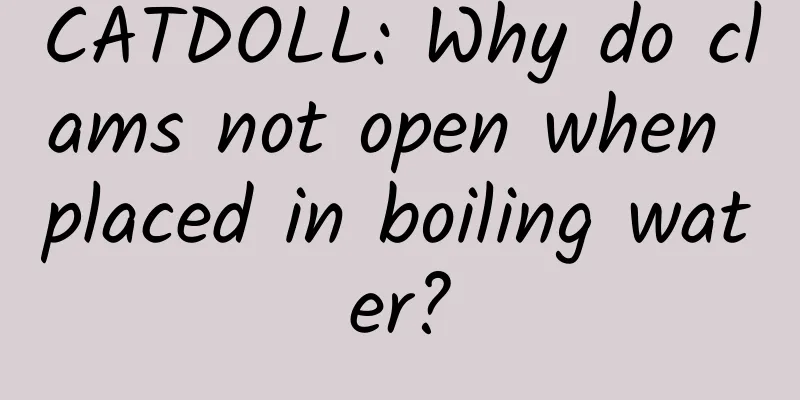 CATDOLL: Why do clams not open when placed in boiling water?