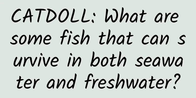 CATDOLL: What are some fish that can survive in both seawater and freshwater?