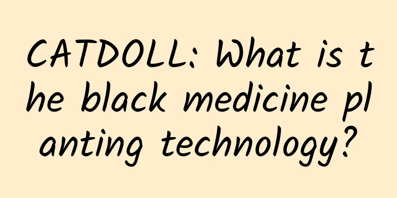 CATDOLL: What is the black medicine planting technology?