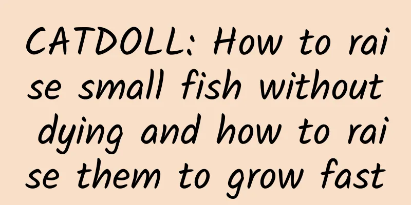 CATDOLL: How to raise small fish without dying and how to raise them to grow fast