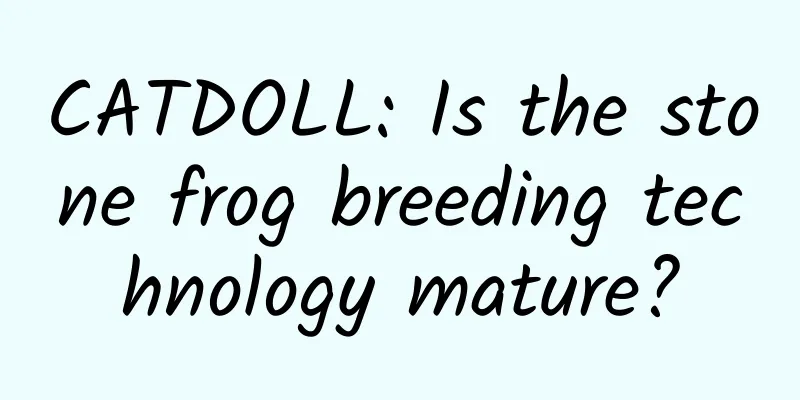 CATDOLL: Is the stone frog breeding technology mature?