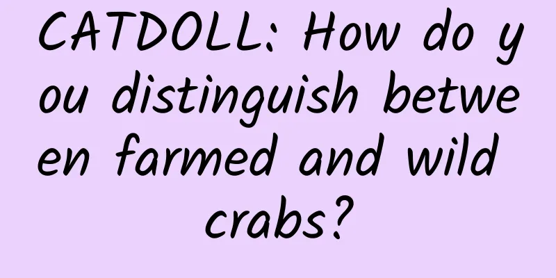 CATDOLL: How do you distinguish between farmed and wild crabs?