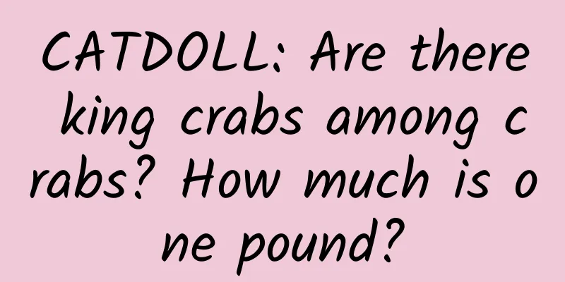 CATDOLL: Are there king crabs among crabs? How much is one pound?