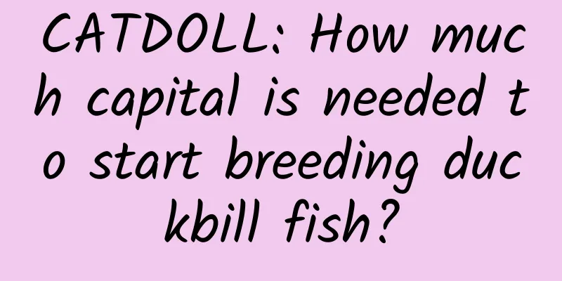 CATDOLL: How much capital is needed to start breeding duckbill fish?