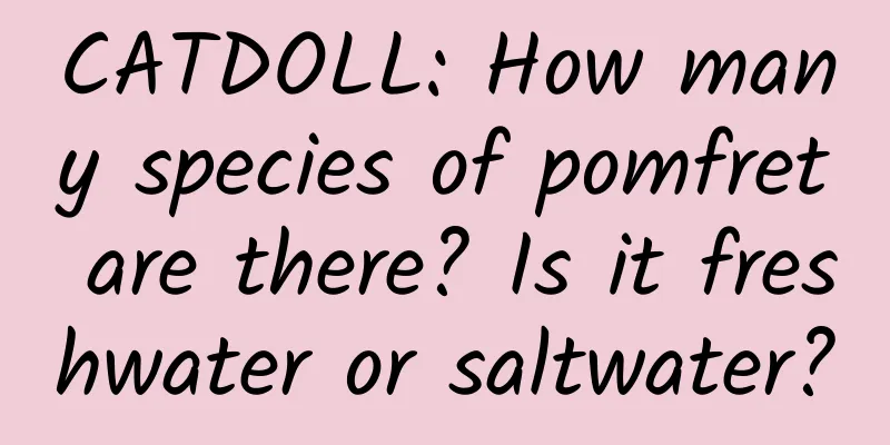 CATDOLL: How many species of pomfret are there? Is it freshwater or saltwater?