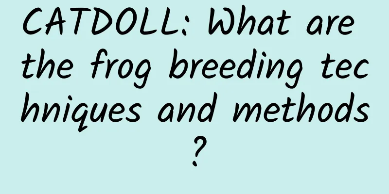 CATDOLL: What are the frog breeding techniques and methods?