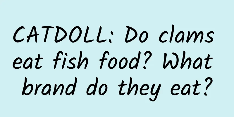 CATDOLL: Do clams eat fish food? What brand do they eat?