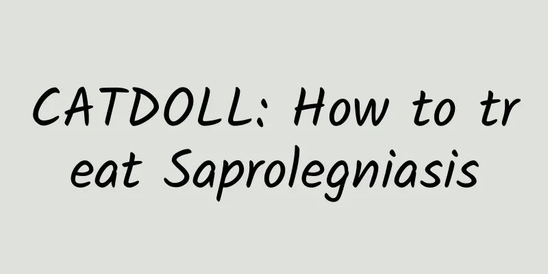 CATDOLL: How to treat Saprolegniasis