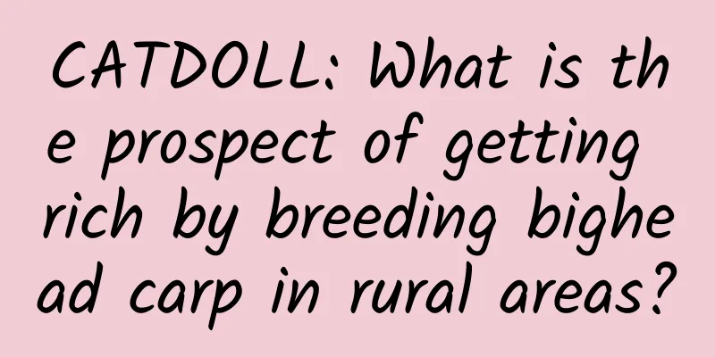 CATDOLL: What is the prospect of getting rich by breeding bighead carp in rural areas?
