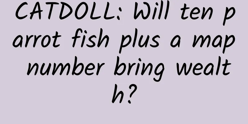 CATDOLL: Will ten parrot fish plus a map number bring wealth?