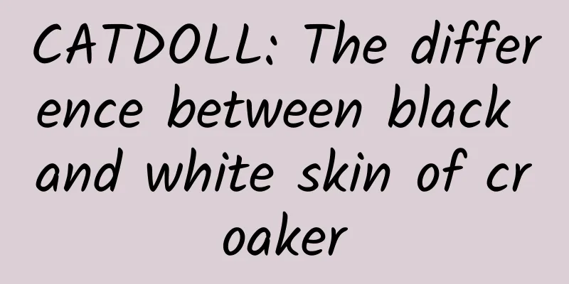 CATDOLL: The difference between black and white skin of croaker