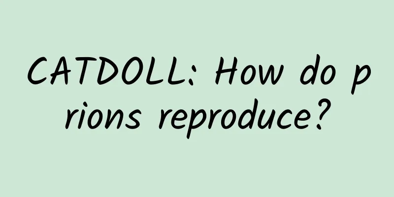 CATDOLL: How do prions reproduce?