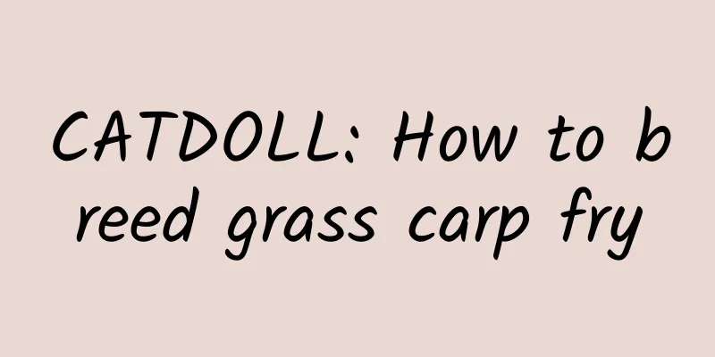 CATDOLL: How to breed grass carp fry