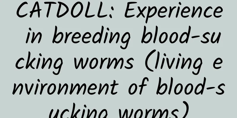 CATDOLL: Experience in breeding blood-sucking worms (living environment of blood-sucking worms)