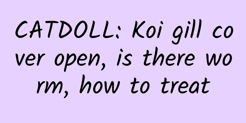 CATDOLL: Koi gill cover open, is there worm, how to treat