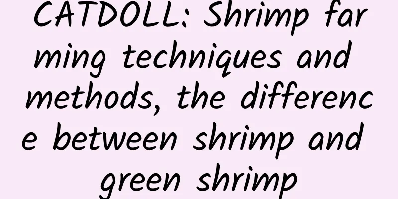 CATDOLL: Shrimp farming techniques and methods, the difference between shrimp and green shrimp