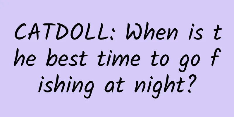 CATDOLL: When is the best time to go fishing at night?