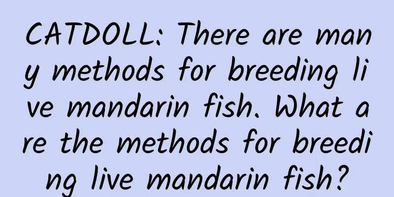 CATDOLL: There are many methods for breeding live mandarin fish. What are the methods for breeding live mandarin fish?