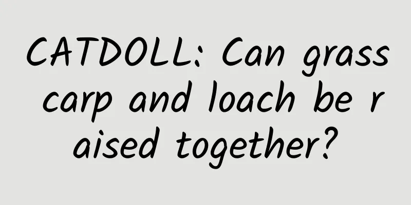 CATDOLL: Can grass carp and loach be raised together?