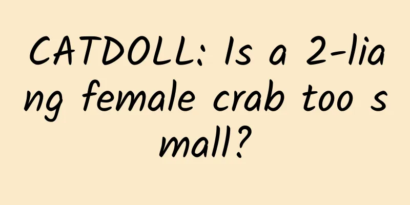 CATDOLL: Is a 2-liang female crab too small?