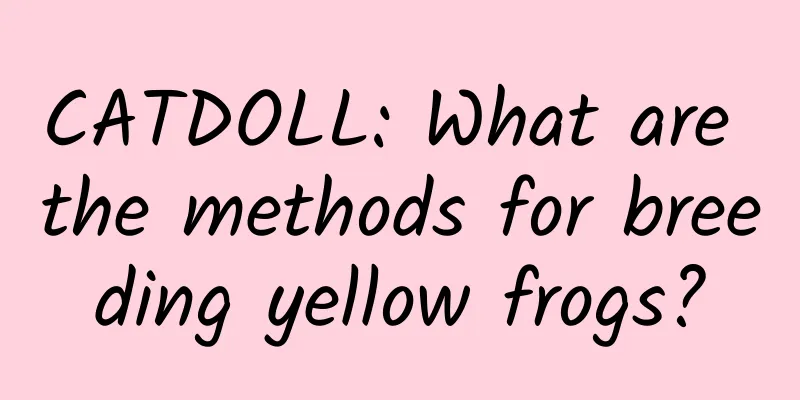 CATDOLL: What are the methods for breeding yellow frogs?