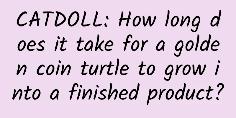 CATDOLL: How long does it take for a golden coin turtle to grow into a finished product?