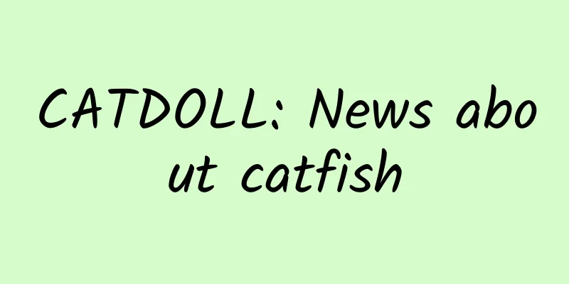 CATDOLL: News about catfish