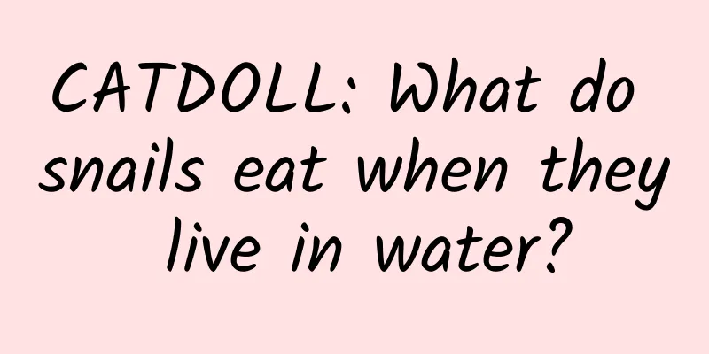 CATDOLL: What do snails eat when they live in water?