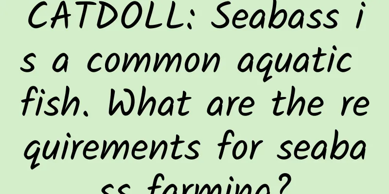 CATDOLL: Seabass is a common aquatic fish. What are the requirements for seabass farming?
