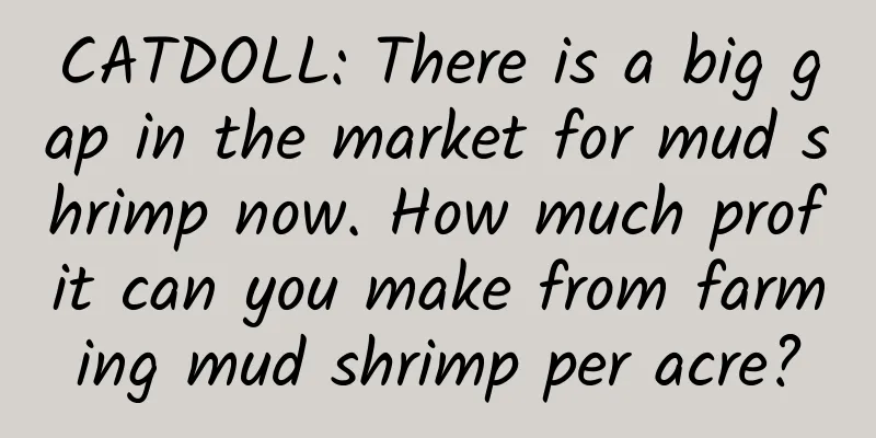 CATDOLL: There is a big gap in the market for mud shrimp now. How much profit can you make from farming mud shrimp per acre?