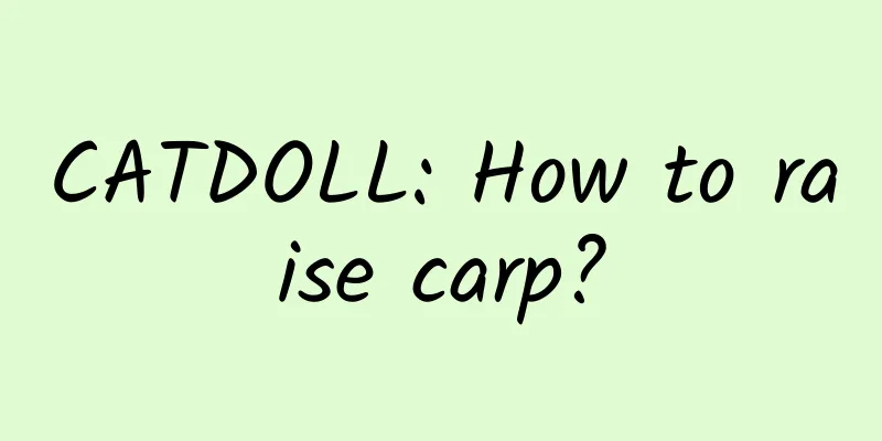 CATDOLL: How to raise carp?