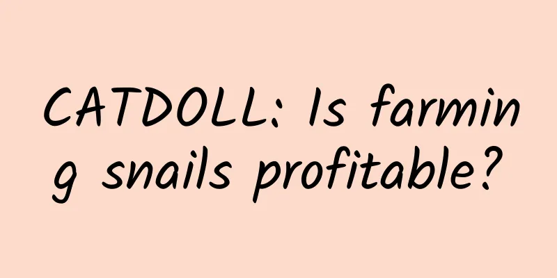 CATDOLL: Is farming snails profitable?