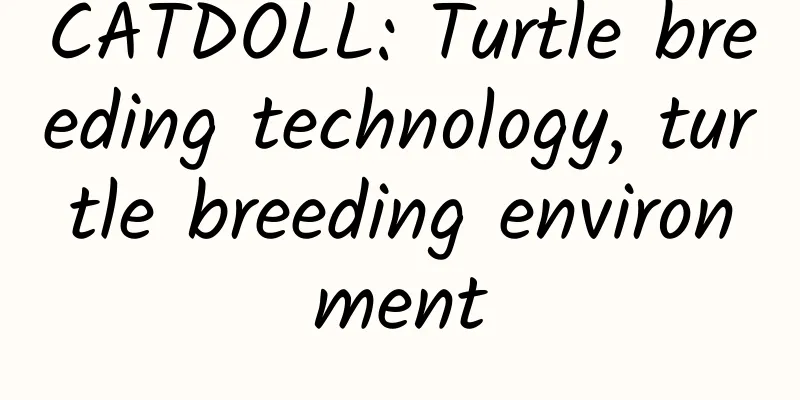 CATDOLL: Turtle breeding technology, turtle breeding environment