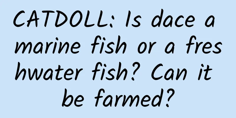 CATDOLL: Is dace a marine fish or a freshwater fish? Can it be farmed?