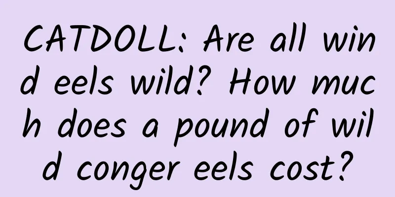 CATDOLL: Are all wind eels wild? How much does a pound of wild conger eels cost?