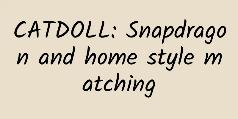 CATDOLL: Snapdragon and home style matching