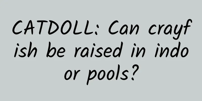 CATDOLL: Can crayfish be raised in indoor pools?