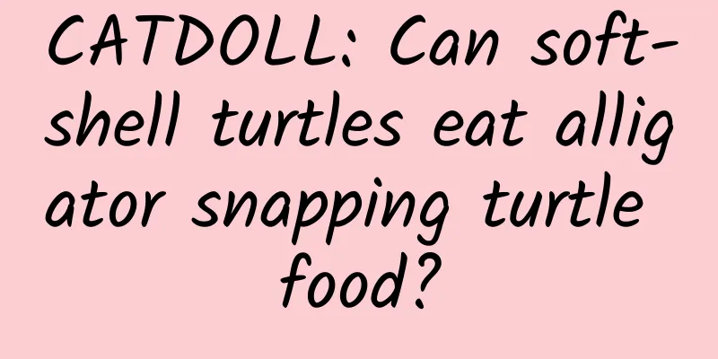 CATDOLL: Can soft-shell turtles eat alligator snapping turtle food?