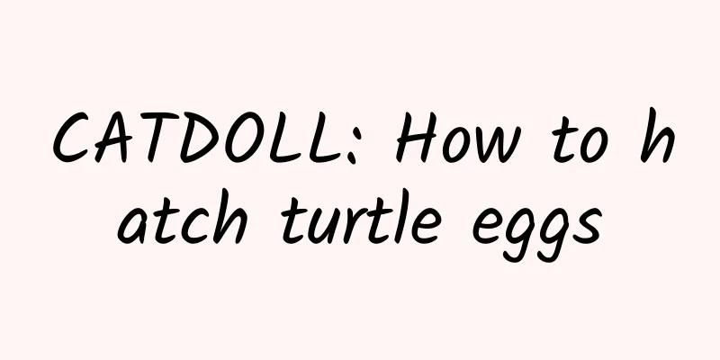 CATDOLL: How to hatch turtle eggs