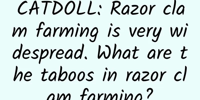 CATDOLL: Razor clam farming is very widespread. What are the taboos in razor clam farming?