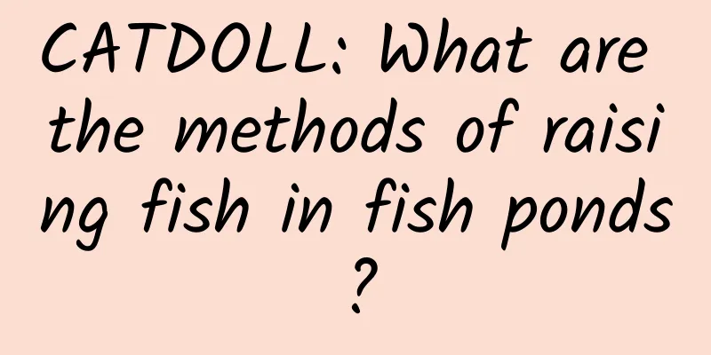 CATDOLL: What are the methods of raising fish in fish ponds?