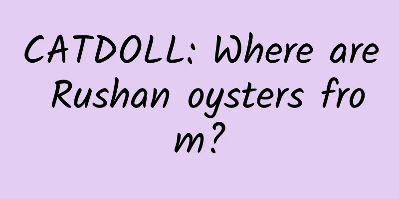 CATDOLL: Where are Rushan oysters from?