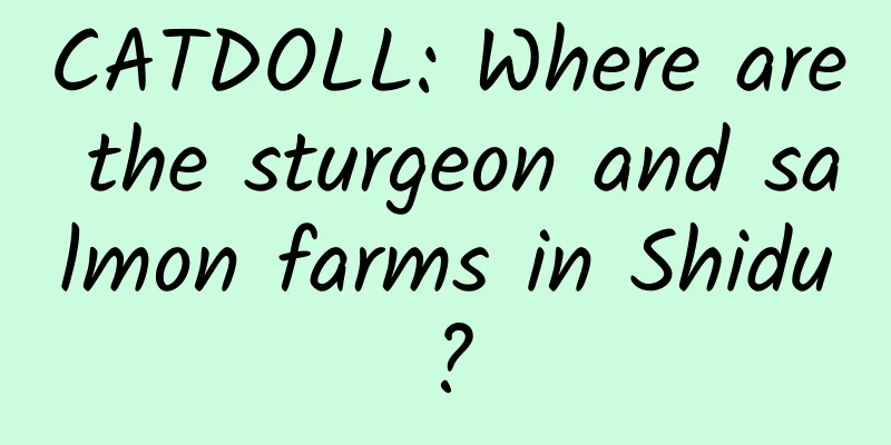 CATDOLL: Where are the sturgeon and salmon farms in Shidu?