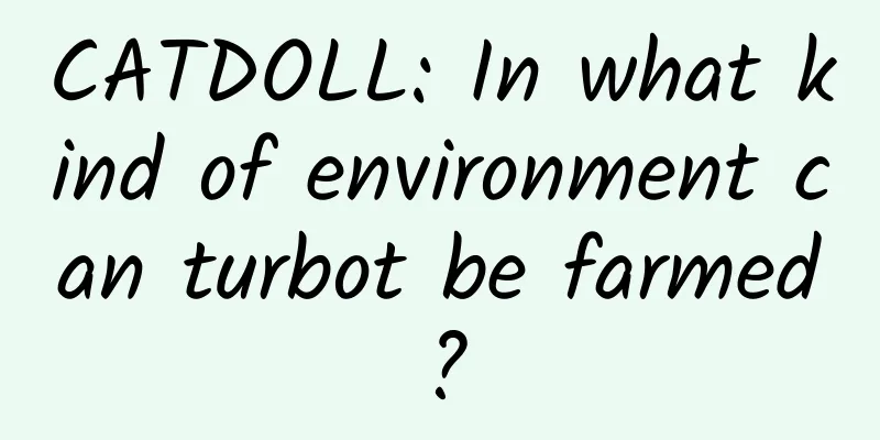 CATDOLL: In what kind of environment can turbot be farmed?