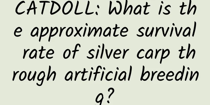CATDOLL: What is the approximate survival rate of silver carp through artificial breeding?