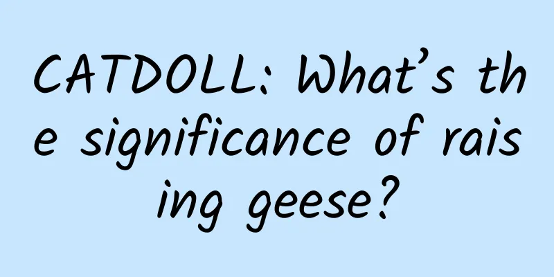 CATDOLL: What’s the significance of raising geese?