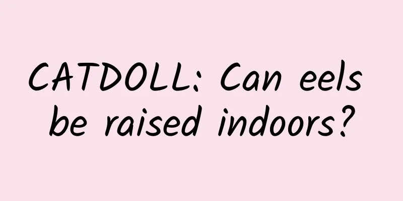 CATDOLL: Can eels be raised indoors?