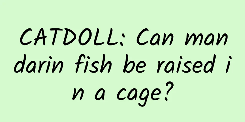 CATDOLL: Can mandarin fish be raised in a cage?