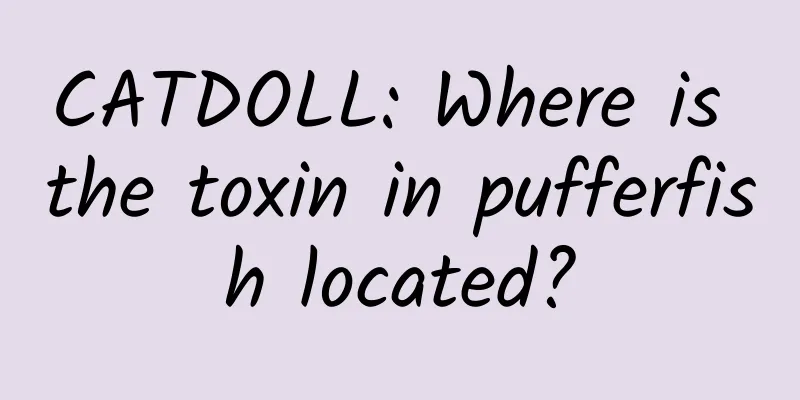 CATDOLL: Where is the toxin in pufferfish located?